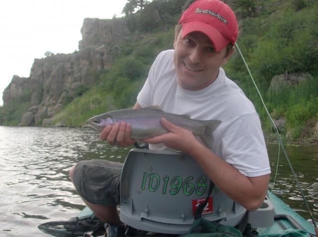 Rainbow Trout caught on a Caddis