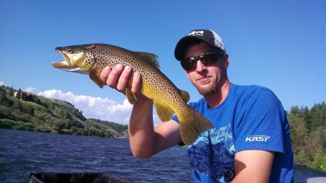 Nice Brown